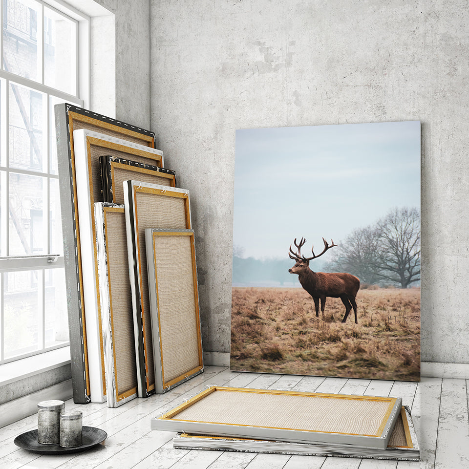 Majestätischer Hirsch in der Ebene - Leinwandbild