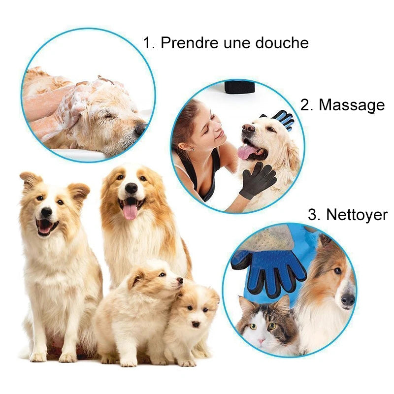 Haushund Reinigungs Handschuhe | Brehn