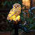 SolarOwl - Moderne LED Gartenlampe mit einzigartigem Design | Brehn