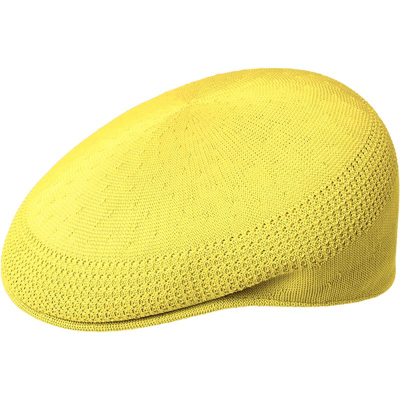 Tropic 504 Ventair - Kangol Flachmütze | Brehn
