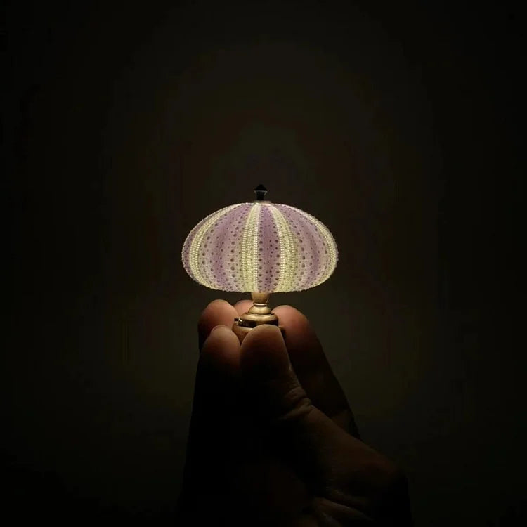 DIY Seeigel Nachtlicht - LumiUrchin | Brehn