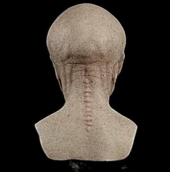 Alien-Maske | Realistisches Halloween-Kostümzubehör | Brehn