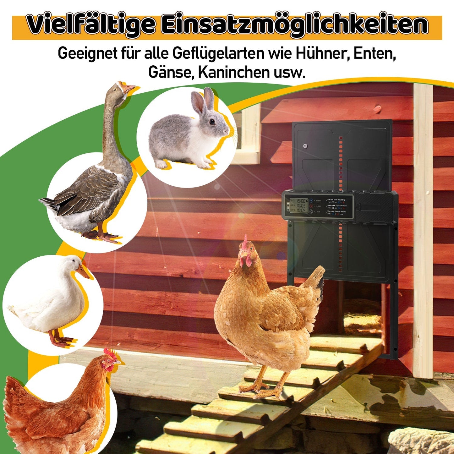 Elektrische Hühnerklappe Solar mit LED Display und Fernbedienung | Brehn