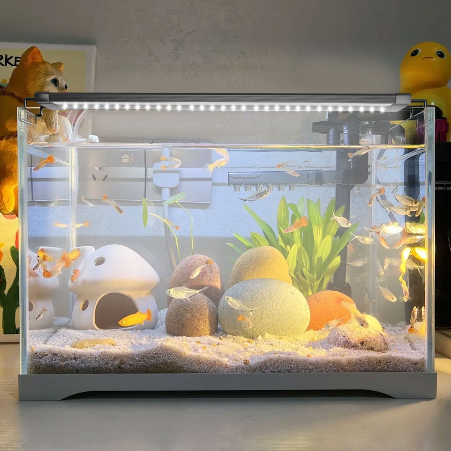 LED Aquarium Beleuchtung 24/7 Modus mit Zeitschaltung | Brehn