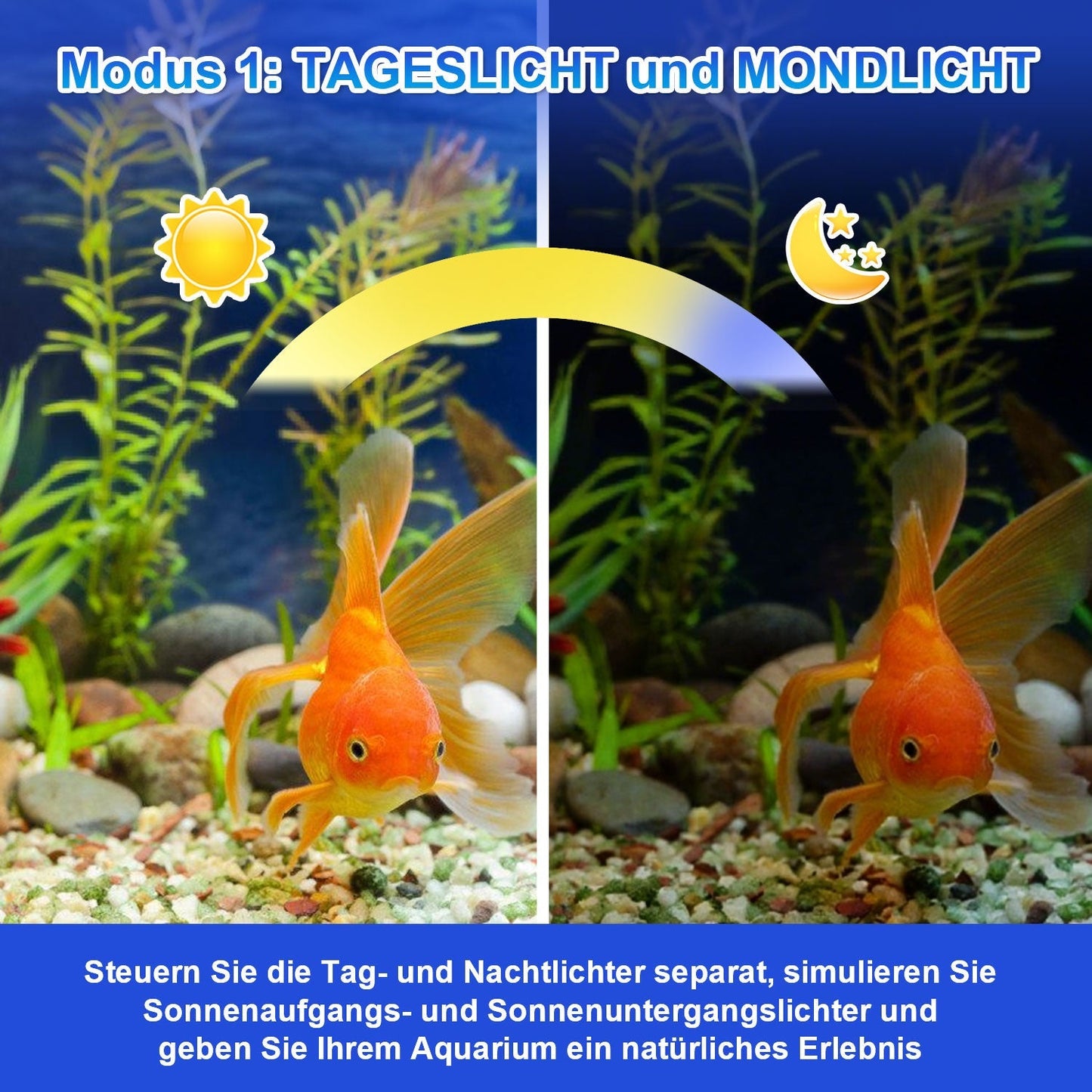 LED Aquarium Beleuchtung 24/7 Modus mit Zeitschaltung | Brehn