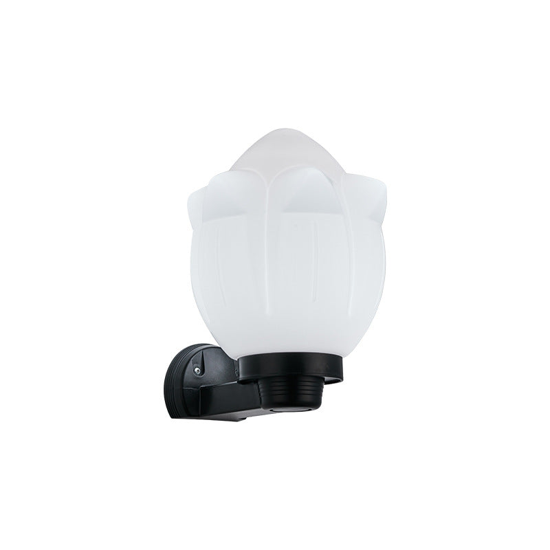 Moderne Schlichtheit Blumenform Quadratisch Zylinder Ball Acryl ABS Eisen 1-Licht Wandleuchte Lampe für Außenbereich Patio | Brehn