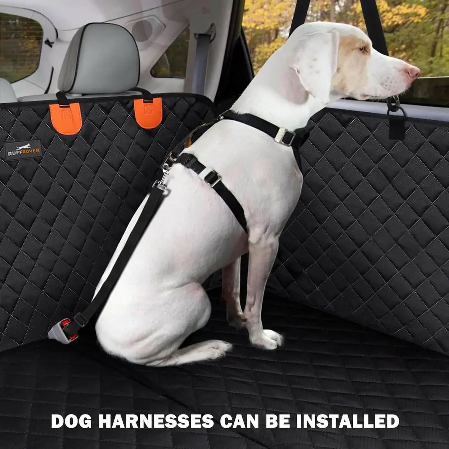 Brehn | DogBench | Reisen Sie friedlich mit Ihrem Hund