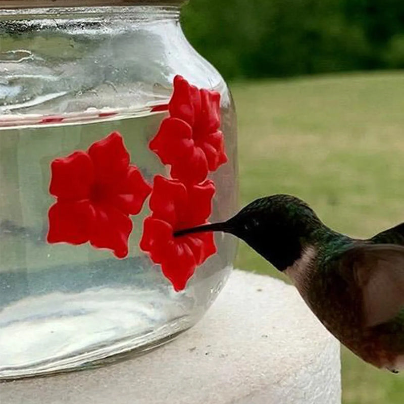 Brehn | Schöner Mason Jar Kolibri-Futterspender