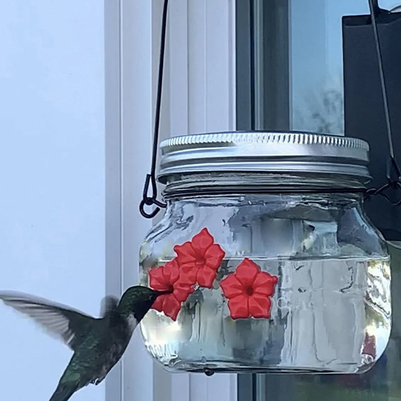 Brehn | Schöner Mason Jar Kolibri-Futterspender