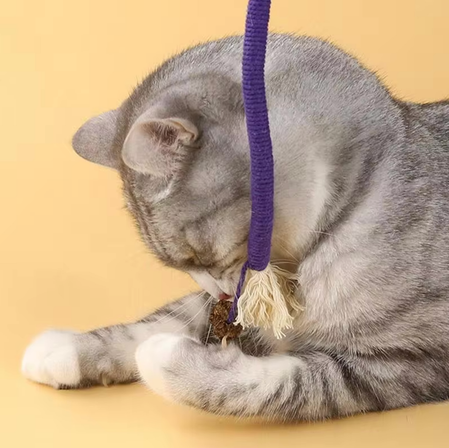 Zahnpflege-Spielzeug für Katzen | Brehn