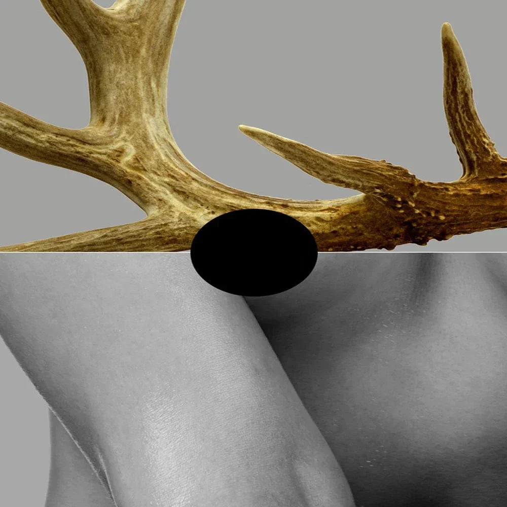 Schwarz Weiß Gold Geweihte Mädchen Poster Wandkunst Fein Kunst Leinwand Drucke Nordisches Bild Für Wohnzimmer Schlafzimmer Studio Home Office Dekor