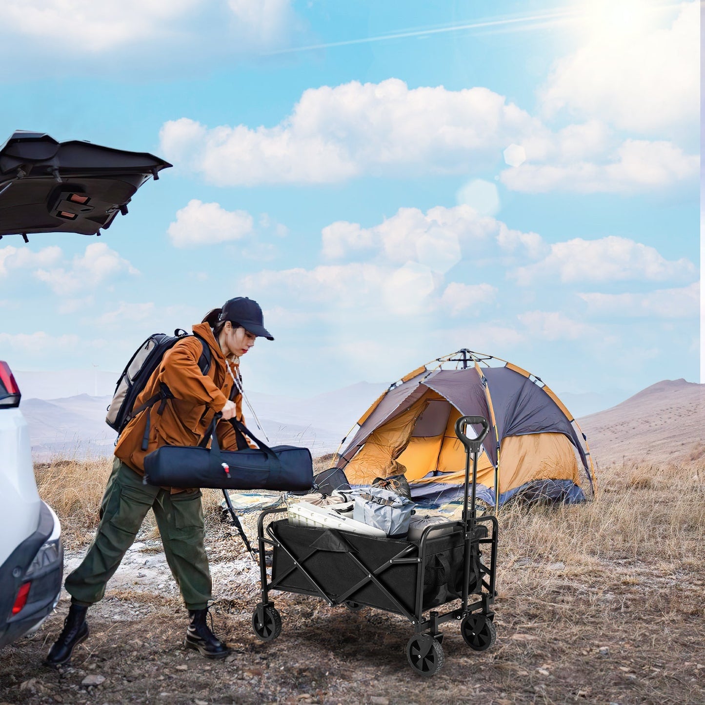 Bollerwagen Transportwagen Faltbar 60L | Brehn