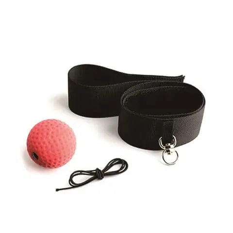 Box Reflexball mit Stirnband – Reaktions- & Koordinationstraining für Zuhause