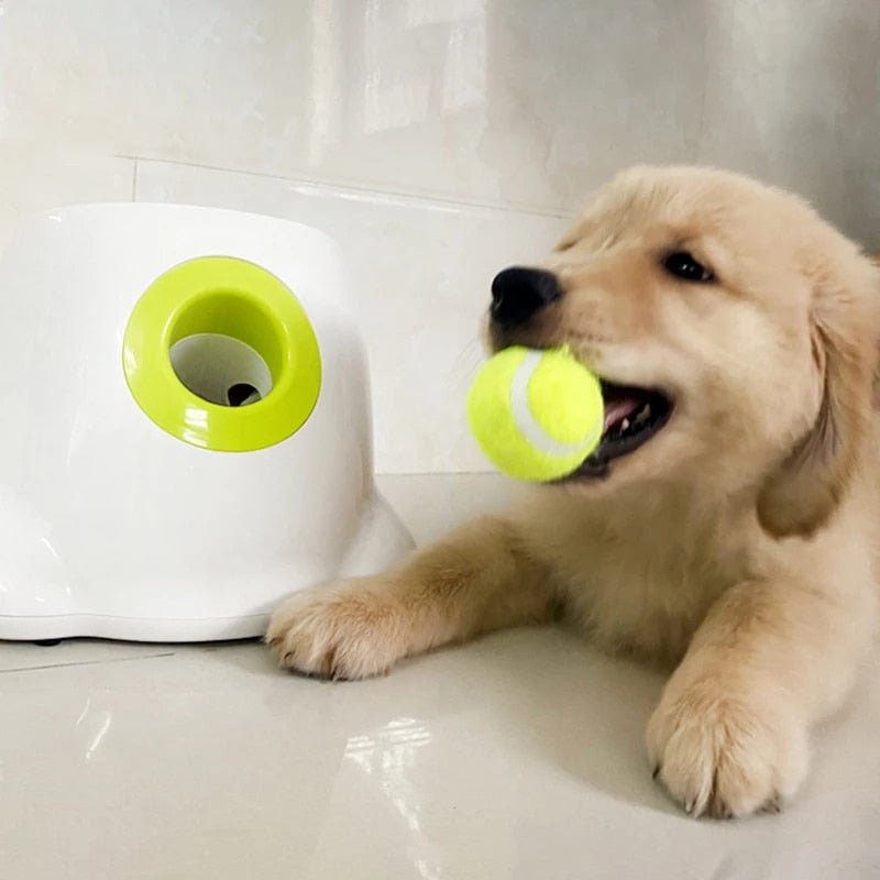 PlayBolt Automatischer Ballwerfer für Hunde | Brehn