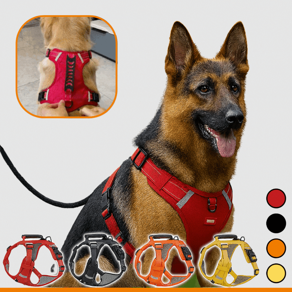 HappyHund Sicherheitsgeschirr reflektierend | Brehn