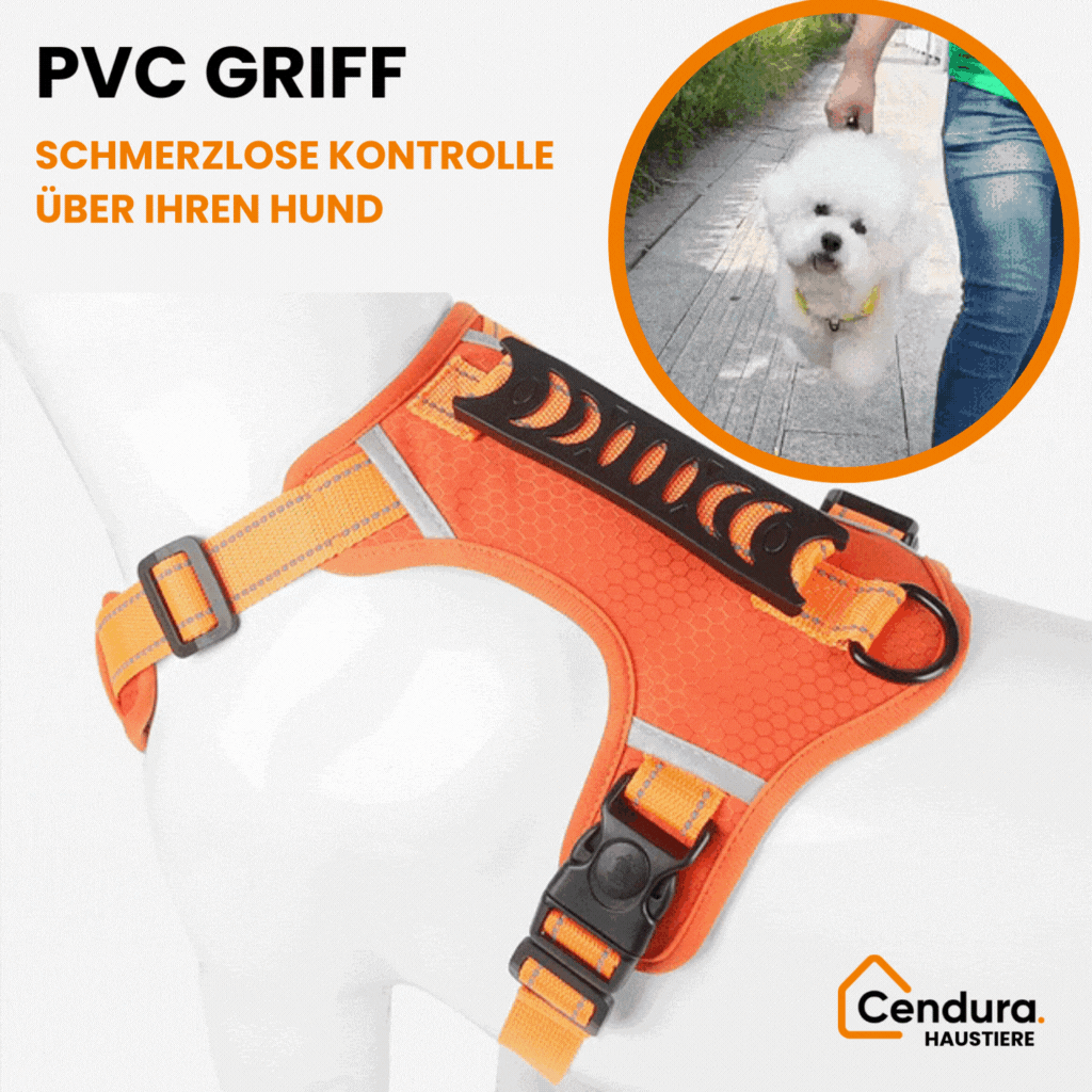 HappyHund Sicherheitsgeschirr reflektierend | Brehn