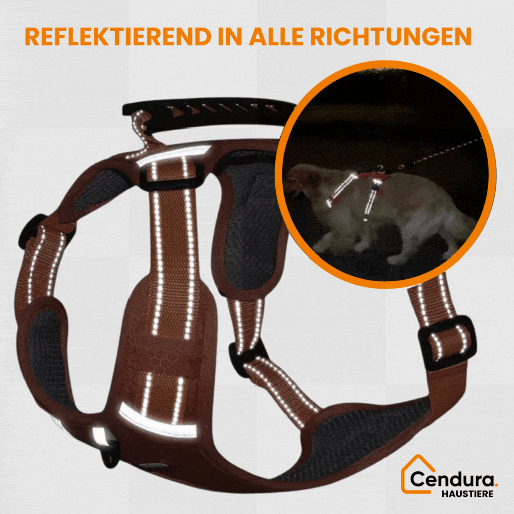 HappyHund Sicherheitsgeschirr reflektierend | Brehn