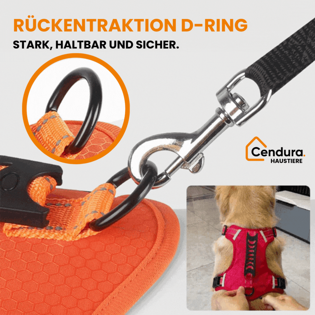 HappyHund Sicherheitsgeschirr reflektierend | Brehn