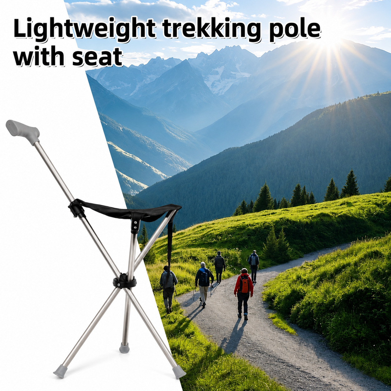 2-in-1 Gehstock mit Sitz | Brehn