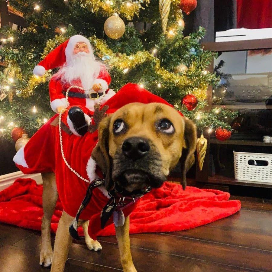 Weihnachtsmann Hundekostüm | Brehn