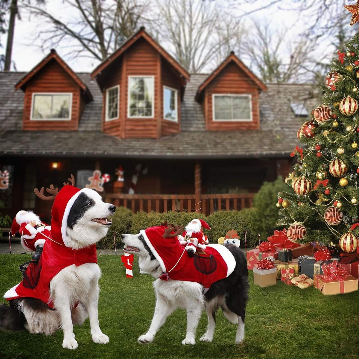 Weihnachtsmann Hundekostüm | Brehn