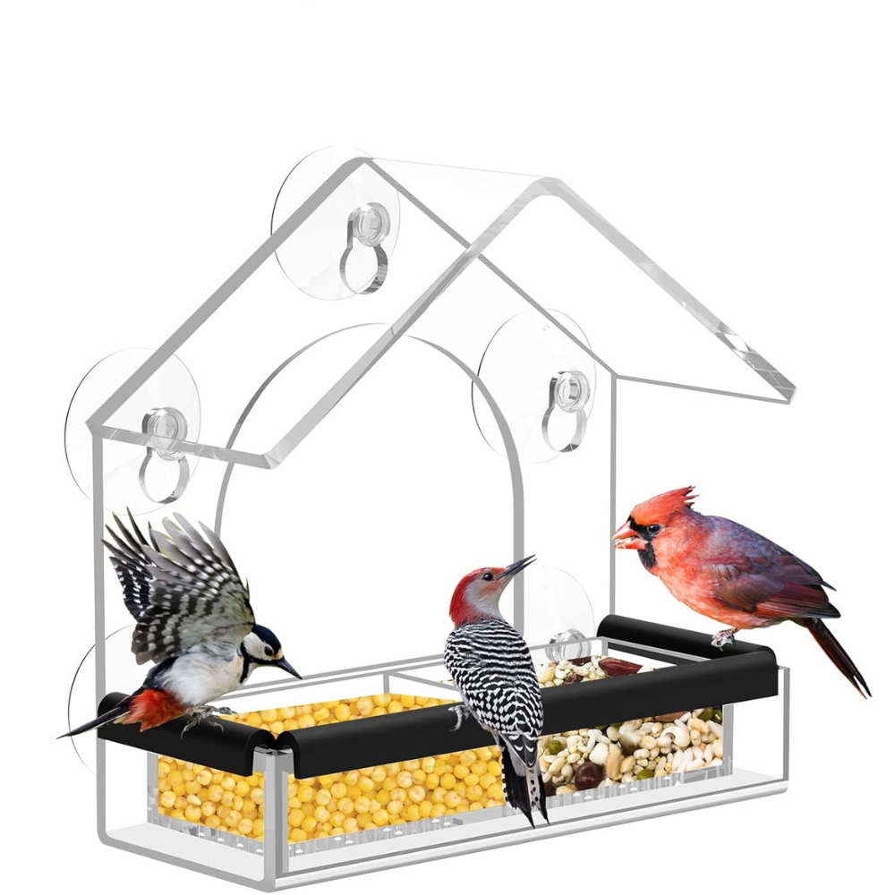 Vogelfutterhaus aus durchsichtigem Acrylglasfenster mit Saugnapf