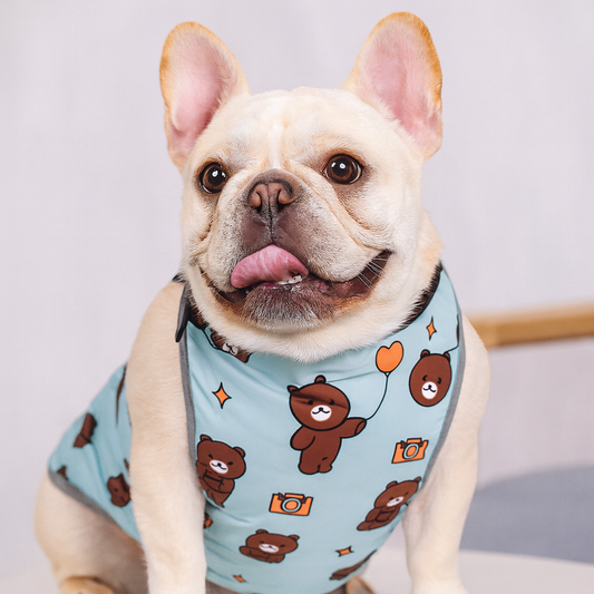 CooLie Frenchie Kühlweste – Sommerschutz für den Bauch Komfort | Brehn
