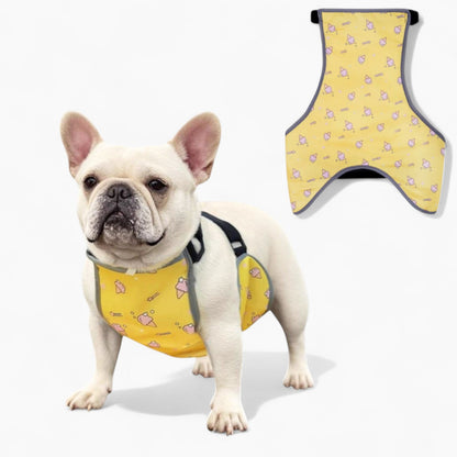 CooLie Frenchie Kühlweste – Sommerschutz für den Bauch Komfort | Brehn