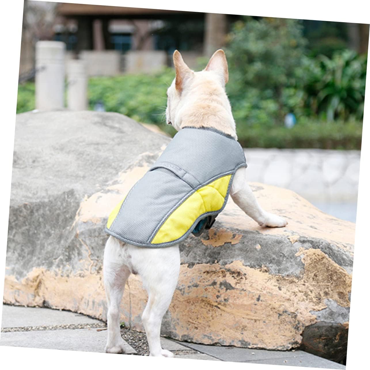 Coolify™ : Kühlweste für Frenchie (CS13) | Brehn