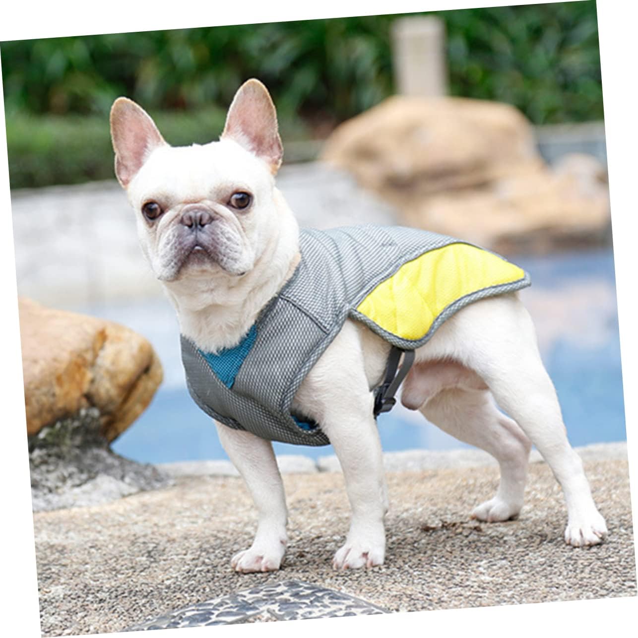 Coolify™ : Kühlweste für Frenchie (CS13) | Brehn