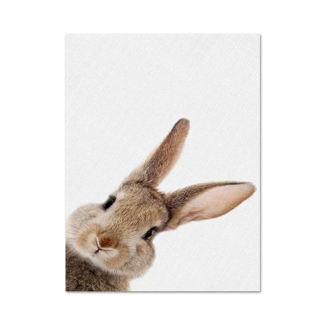 Niedliche Kaninchenfoto-Shooting-Plakat Wandkunst Fine Art Leinwanddrucke Baby-Tierbilder für das Kinderzimmer Wanddekoration