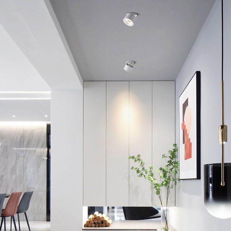 Brehn | Verstellbare Zylinder Einbau LED Deckenlampe