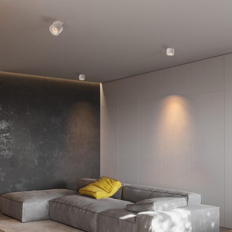 Brehn | Verstellbare Zylinder Einbau LED Deckenlampe