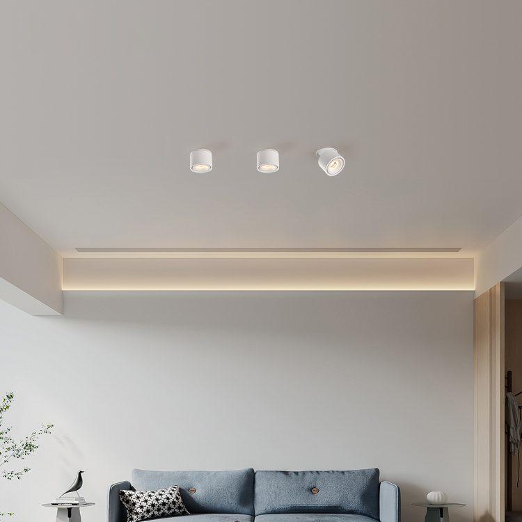 Brehn | Verstellbare Zylinder Einbau LED Deckenlampe