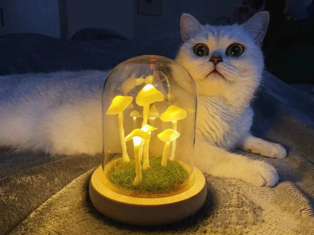 Brehn | MycoJar - Machen Sie Ihre eigenen Pilze - Natürliches Glas DIY - Wecken Sie Ihre Kreativität