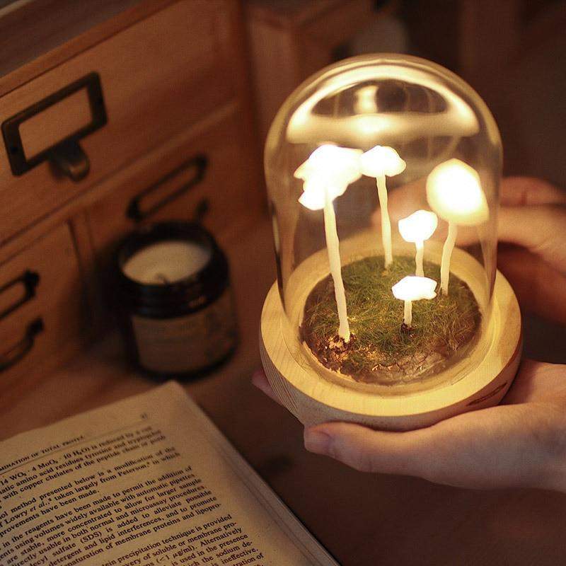 Brehn | MycoJar - Machen Sie Ihre eigenen Pilze - Natürliches Glas DIY - Wecken Sie Ihre Kreativität