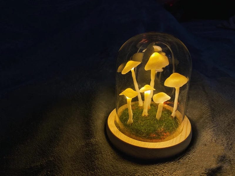 Brehn | MycoJar - Machen Sie Ihre eigenen Pilze - Natürliches Glas DIY - Wecken Sie Ihre Kreativität