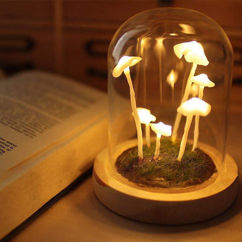 Brehn | MycoJar - Machen Sie Ihre eigenen Pilze - Natürliches Glas DIY - Wecken Sie Ihre Kreativität