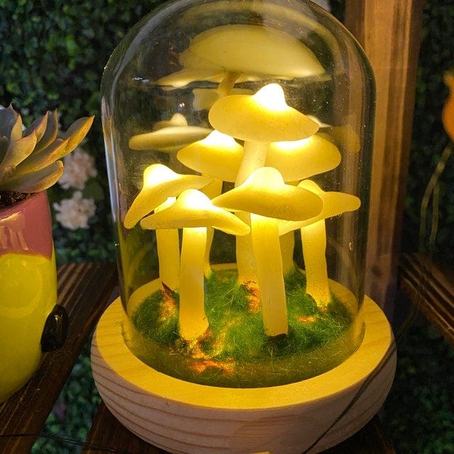 Brehn | MycoJar - Machen Sie Ihre eigenen Pilze - Natürliches Glas DIY - Wecken Sie Ihre Kreativität
