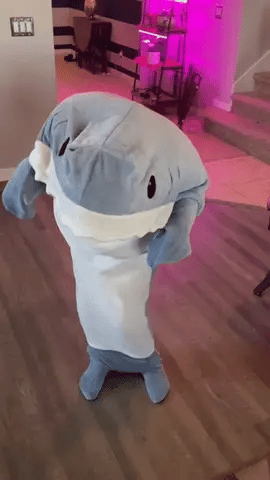 Shark-Decke 🦈 | Brehn
