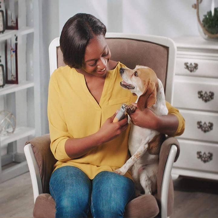 MAX - Bester Hundekratzer mit Quick-Sensoren | Sicher & Ergonomisch | Brehn