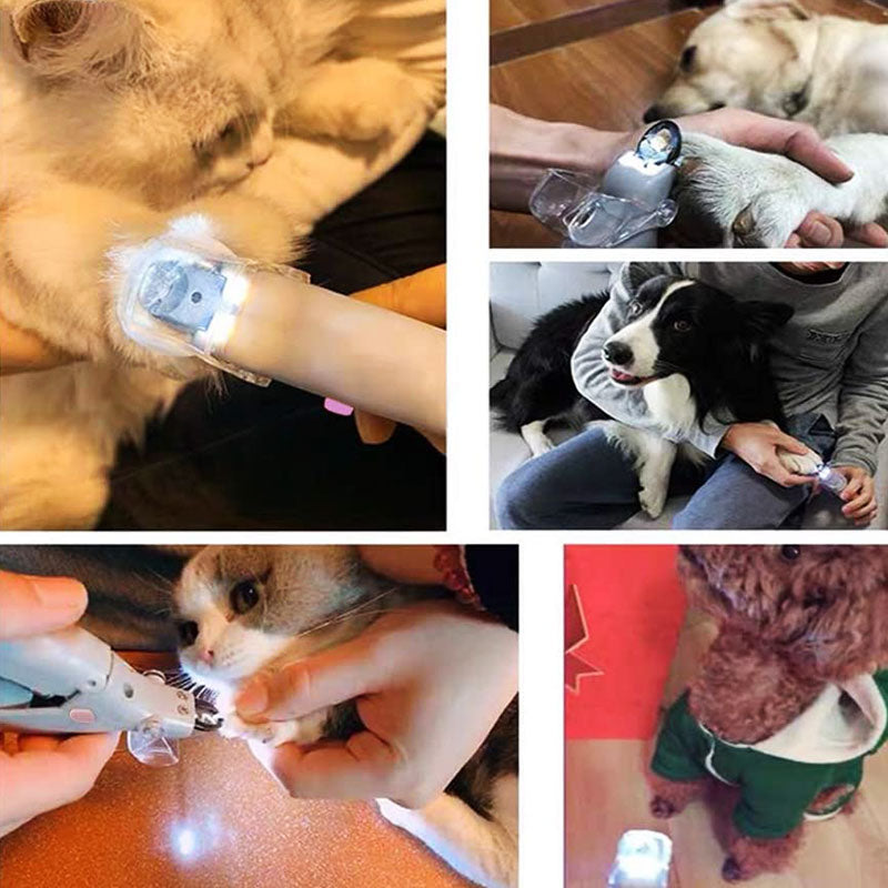 MAX - Bester Hundekratzer mit Quick-Sensoren | Sicher & Ergonomisch | Brehn