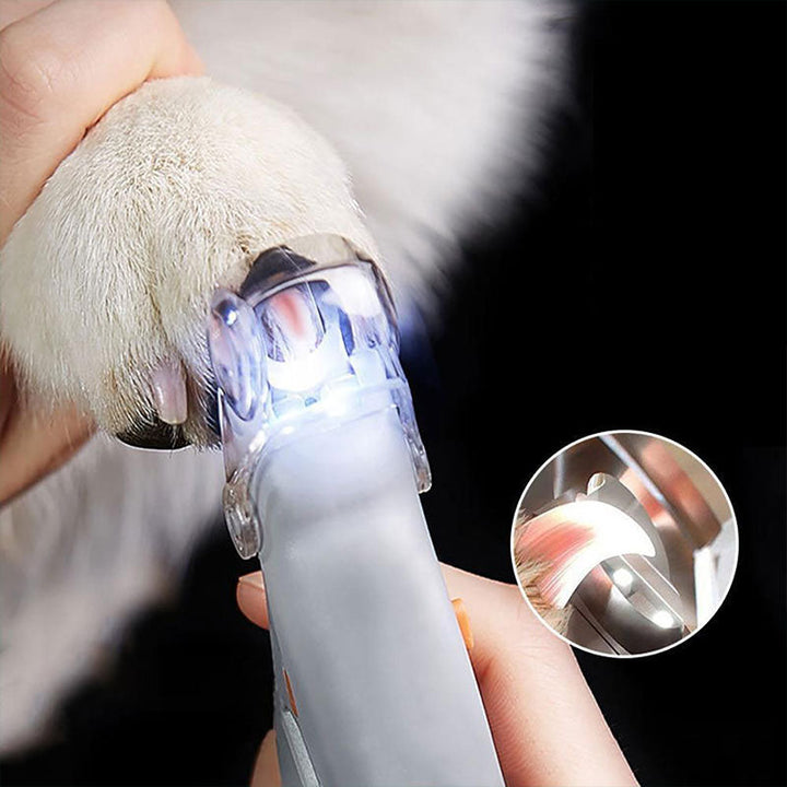 MAX - Bester Hundekratzer mit Quick-Sensoren | Sicher & Ergonomisch | Brehn