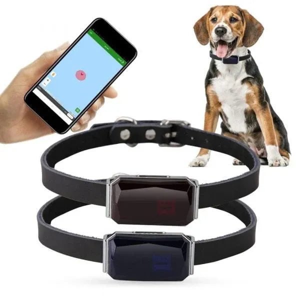 Pet GPS Tracker - Echtzeit-Standortverfolgungssystem für Haustiere | Brehn