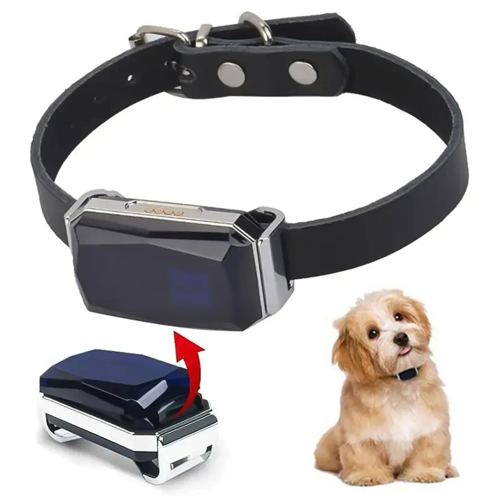 Pet GPS Tracker - Echtzeit-Standortverfolgungssystem für Haustiere | Brehn