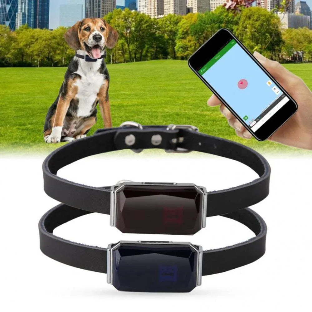 Pet GPS Tracker - Echtzeit-Standortverfolgungssystem für Haustiere | Brehn