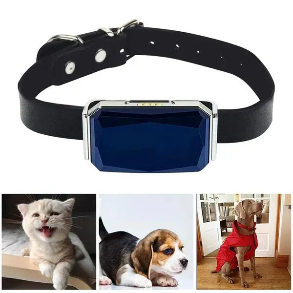 Pet GPS Tracker - Echtzeit-Standortverfolgungssystem für Haustiere | Brehn