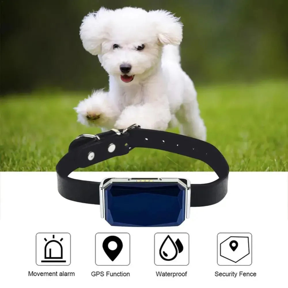 Pet GPS Tracker - Echtzeit-Standortverfolgungssystem für Haustiere | Brehn