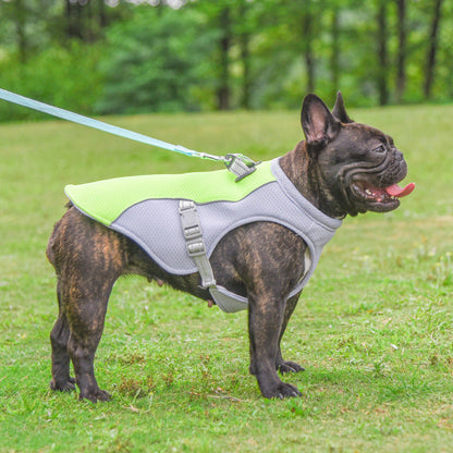 Französische Bulldogge Sommer Kühlweste Hitzebeständig Atmungsaktiv Sonnenschutz | Brehn
