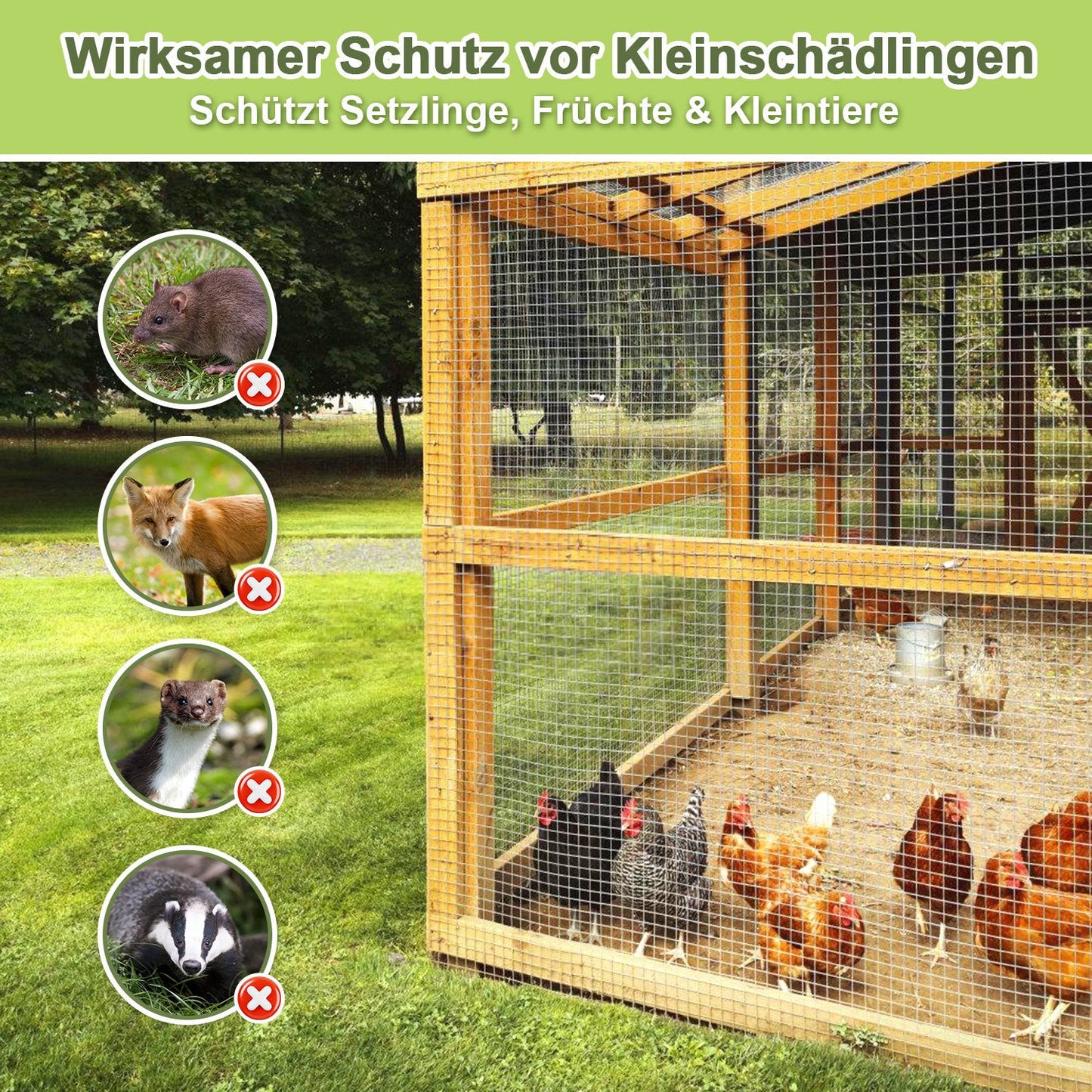 Drahtgitter Verzinkter 5m/10m Volierendraht Wühlmausgitter | Brehn